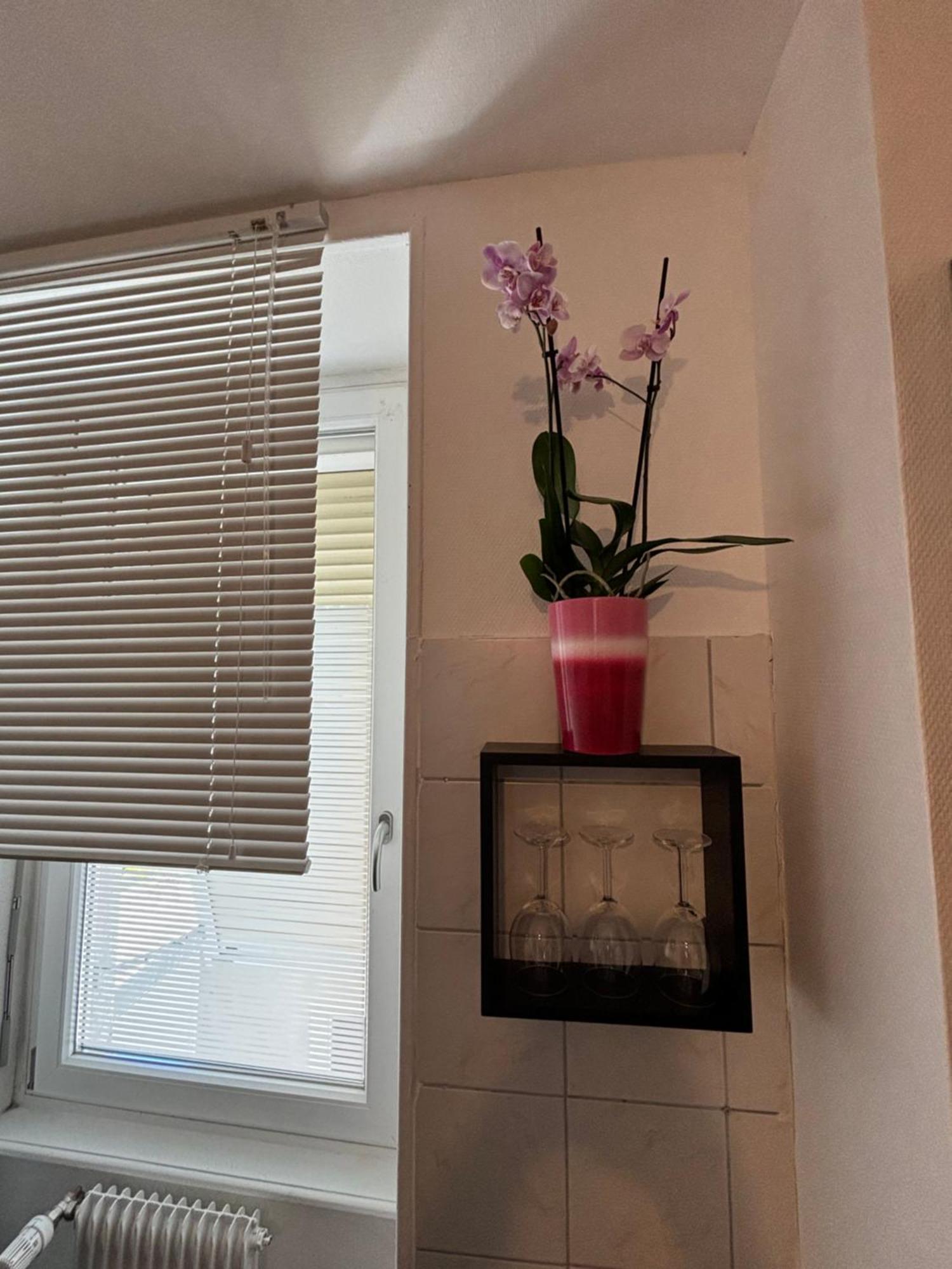 מולהאוס L Alsacienne F2 Centre Ville מראה חיצוני תמונה